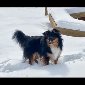 Meet your Posher, Tim